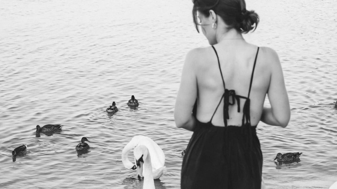 Bird Theory is a call to action to reflect not only on our relationships with others