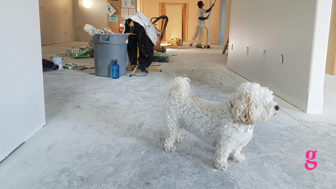 Good Life Construction Company