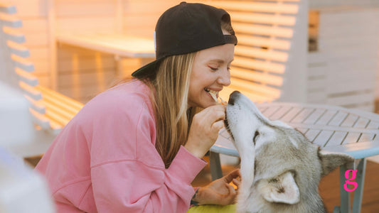 How Fresh Dog Food Can Add Years to Your Pet's Life