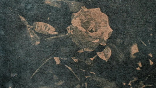 article What Early Pregnancy Symptoms Can Mean and What Happens Next